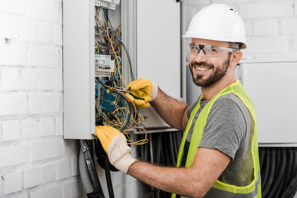 Best Electrical System Inspection  in Roma, TX