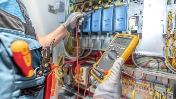 Best Residential Electrician Services  in Roma, TX