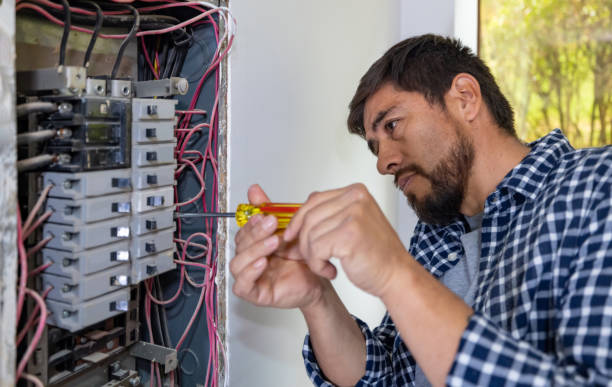 Best Affordable Emergency Electrician  in Roma, TX